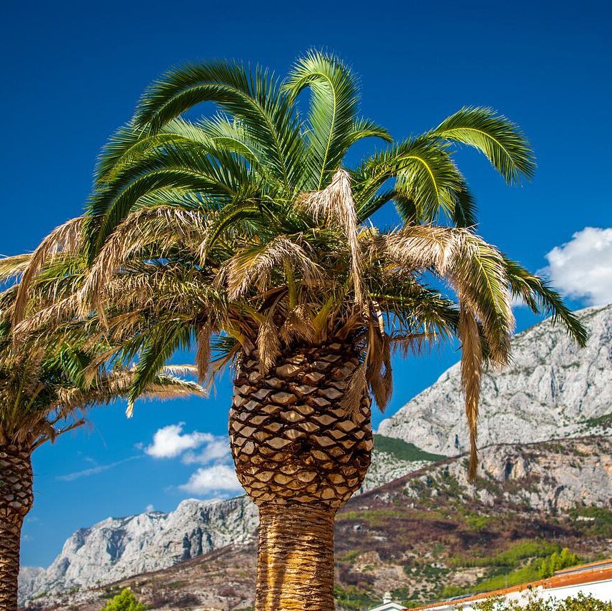 makarska3